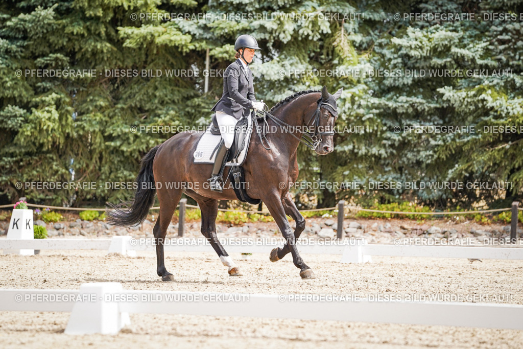 DSC03049 | Pferdegrafie