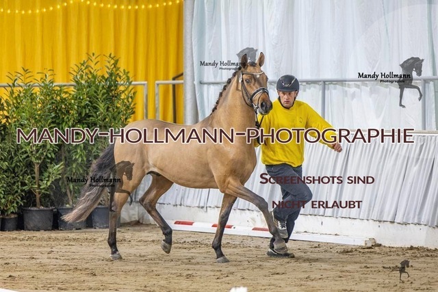23 (40) | mandyhollmannphotographie