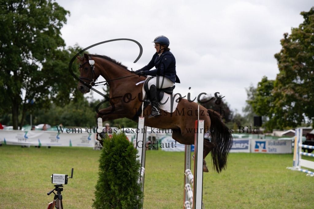 A7V05460 | Pferdefotograf