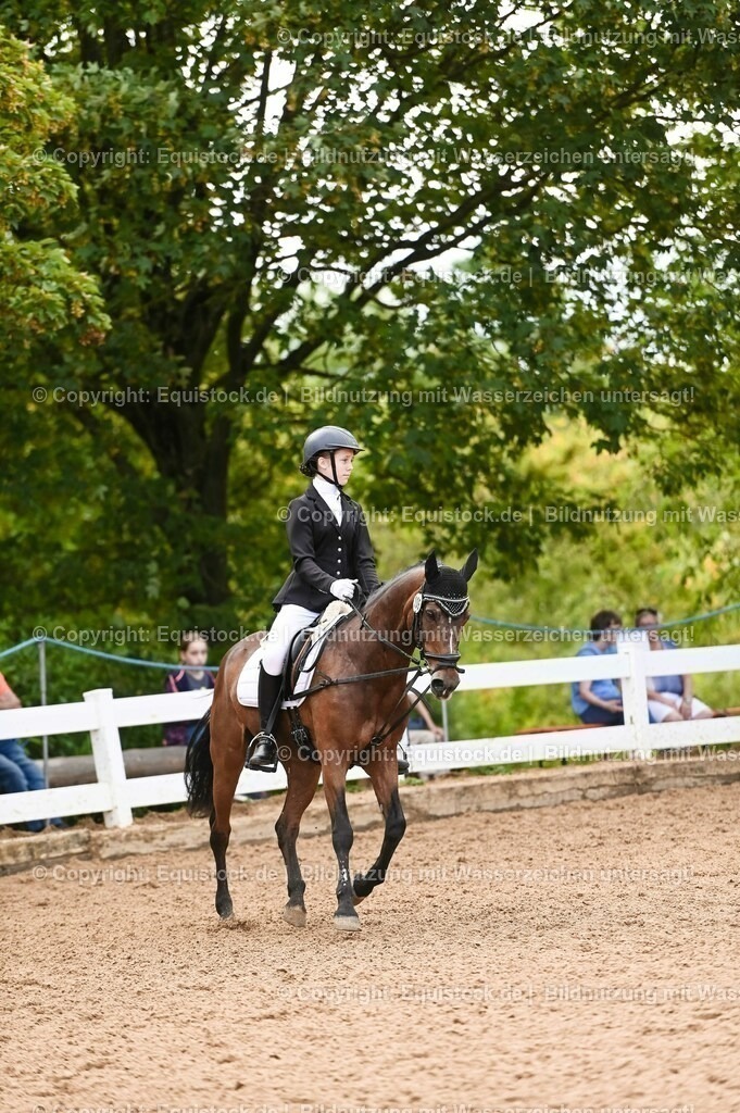 20230716_10-2_Reiter-WB Schritt - Trab - Galopp_0121 | equistock