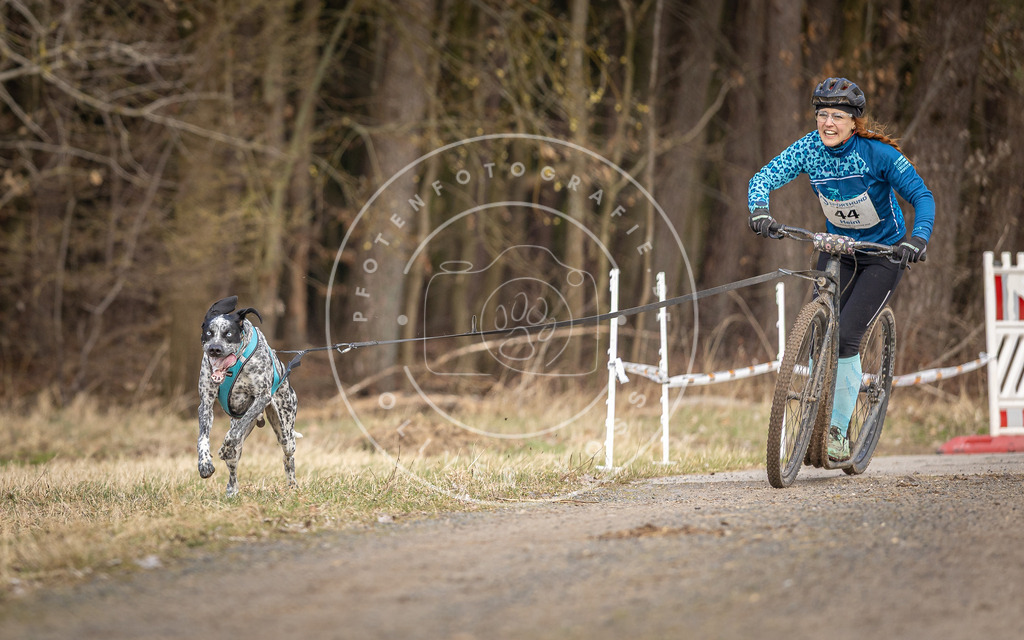 DV3A4642 | Hundefotografie, Tierfotograf, Pfotenfotografie, Fotoshooting Hund, Hunde Portrait, Hundesport, Hundeportraits, Heideshooting, Hunde, Sportfotograf, Hundefotograf, Turnierhundsport, THS,  - Realisiert mit Pictrs.com