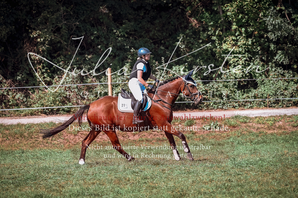 DSC_2632 | Pferde- und Turnierfotografie in Westsachsen. Pferdeportraits, Auftragszeichnungen und intuitive Kunst.