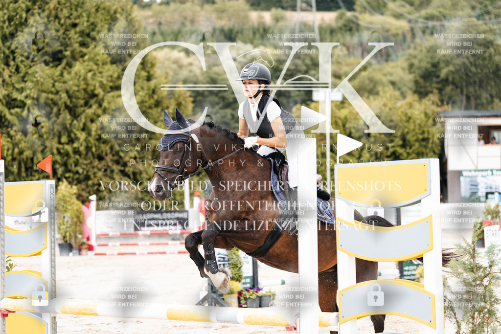 CK908088 | Turnierfotografie Pferdefotografie Trier Rheinland-Pfalz Pferdesport Reitsport Tierfotografie Sportfotografie Pferdevideo Pferdevideografie Equestrianvideography equestrianphotography  - Realisiert mit Pictrs.com