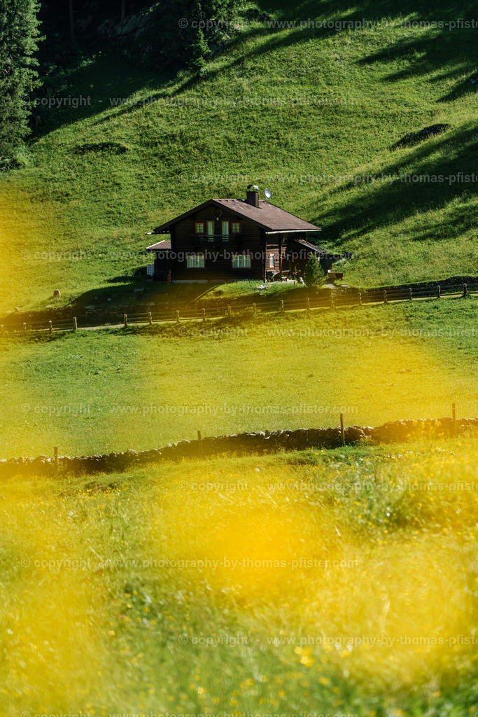 Loschboden Frühsommer copyright  Thomas Pfister-31 | PHOTOGRAPHY BY THOMAS PFISTER