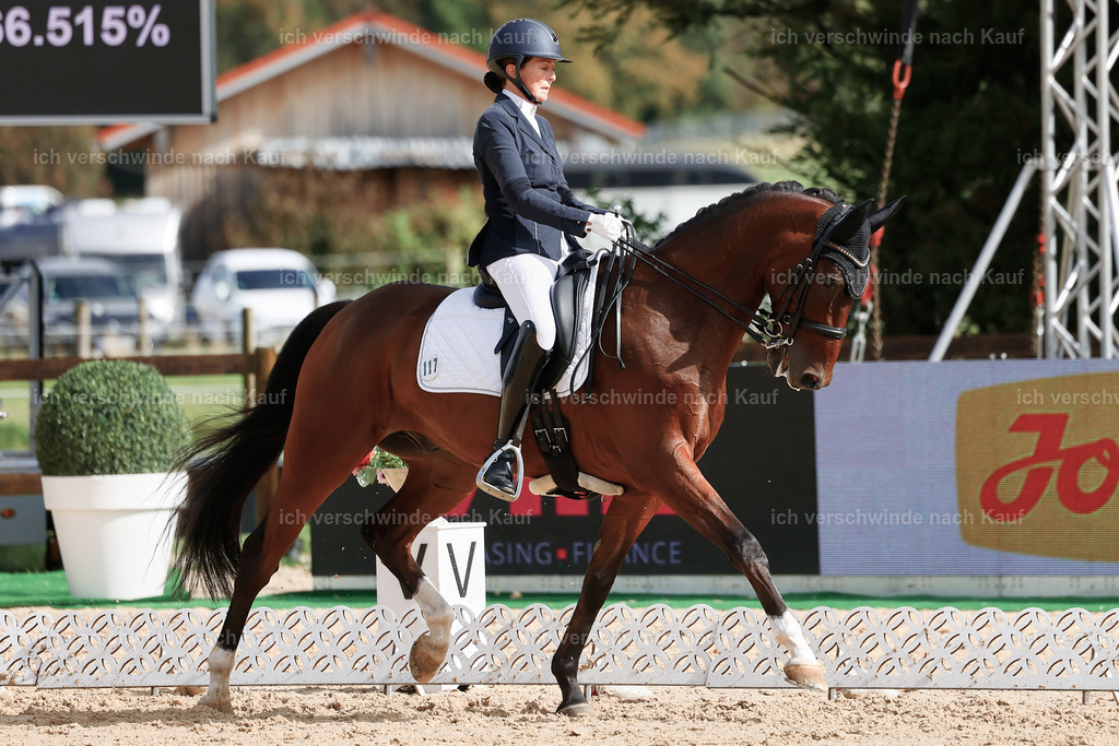 05-117-DRESSUR M_  -StoibPH-4934 | working equitationturnier fotograf videograf stoibphotography marixx film working equitation deutschland reitsport turnierfotografie eventfotografie equestrian events