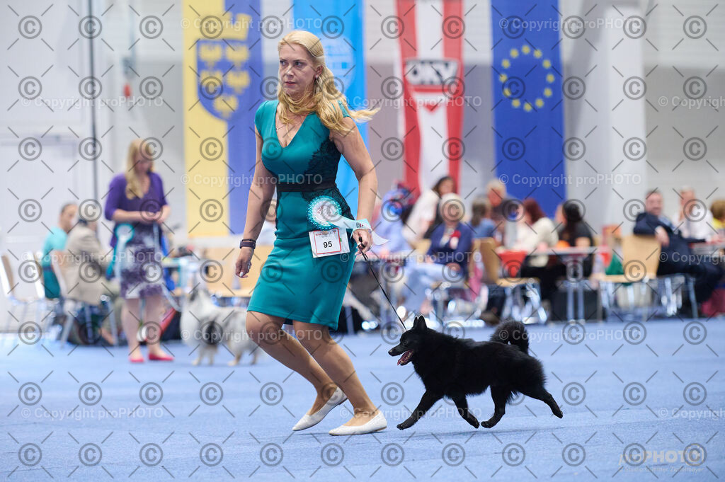 202406_ÖKV-IHA-Tulln24_DSC_2867 | proPHOTO - Realisiert mit Pictrs.com