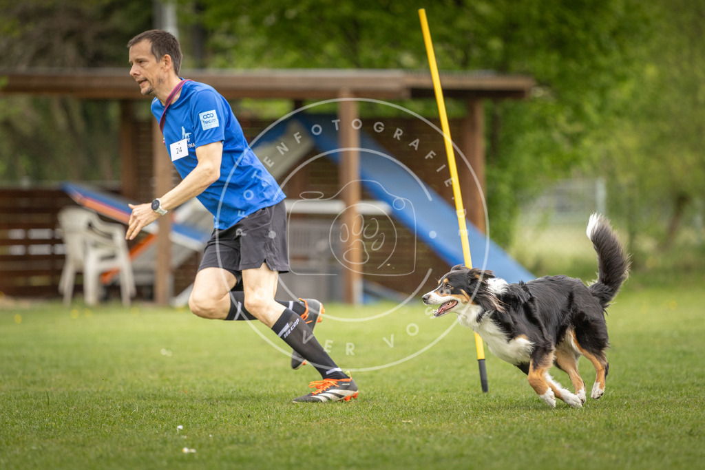 Pfotenfotografie_DV3A0173 | Hundefotografie, Tierfotograf, Pfotenfotografie, Fotoshooting Hund, Hunde Portrait, Hundesport, Hundeportraits, Heideshooting, Hunde, Sportfotograf, Hundefotograf, Turnierhundsport, THS,  - Realisiert mit Pictrs.com
