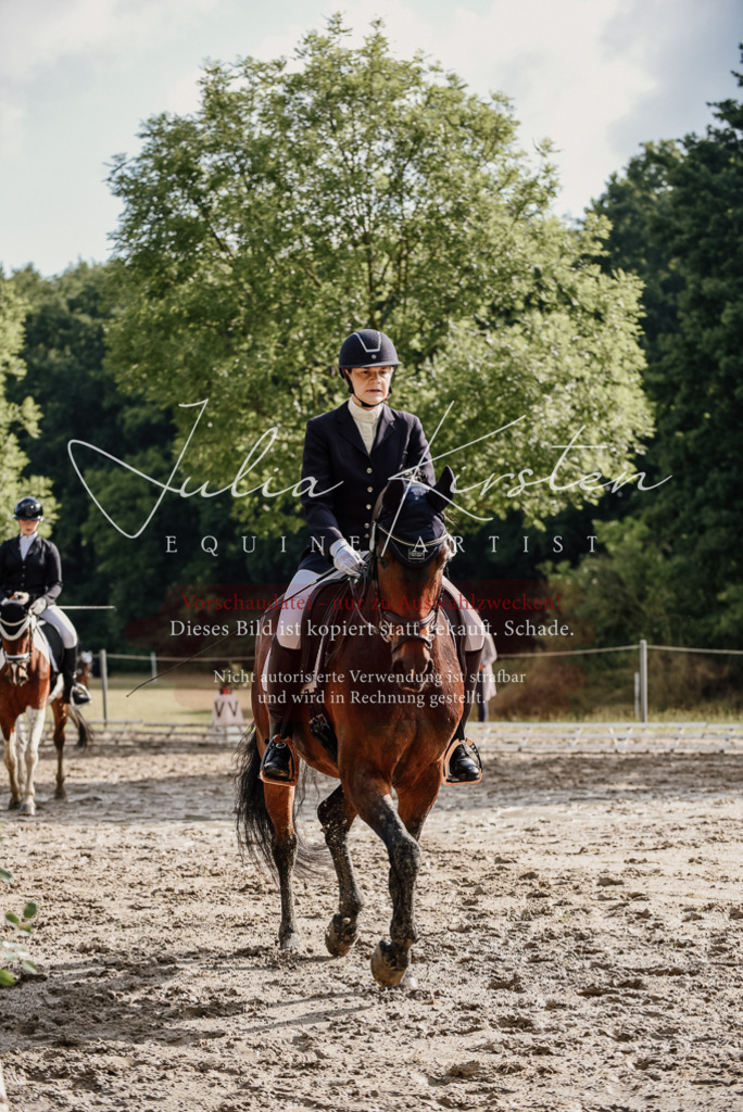 DSC_8741 | Pferde- und Turnierfotografie in Westsachsen. Pferdeportraits, Auftragszeichnungen und intuitive Kunst.