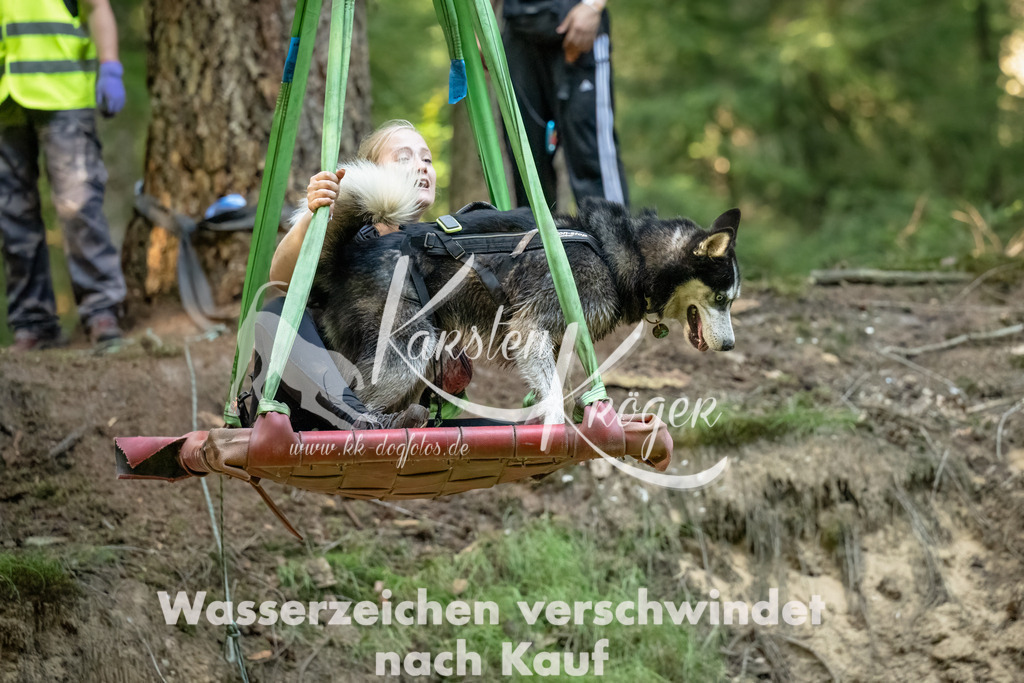 1449_ZZ90898-Bearbeitet-2 | kk-dogfotos