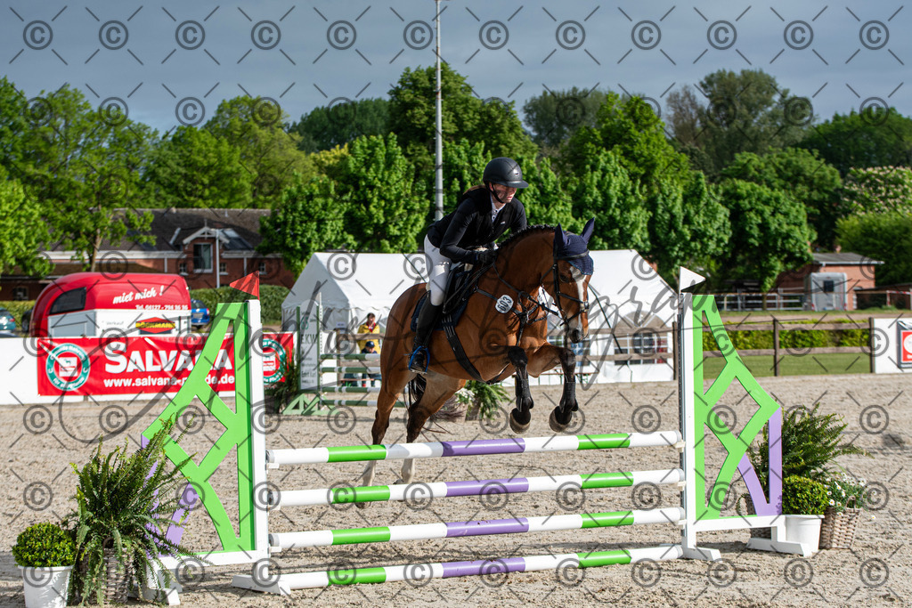 KPT_7764 | andre_photographic