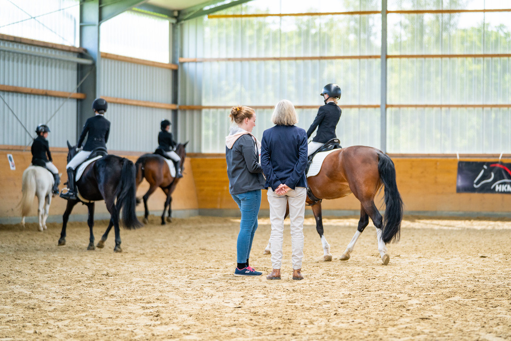 DSC01111 | Pferdegrafie