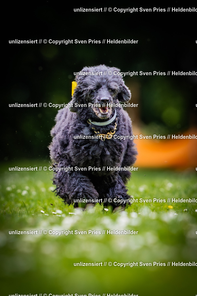 Sven Pries | 2025-05-29 - Pudelrennen KA-Durlach - Realisiert mit Pictrs.com