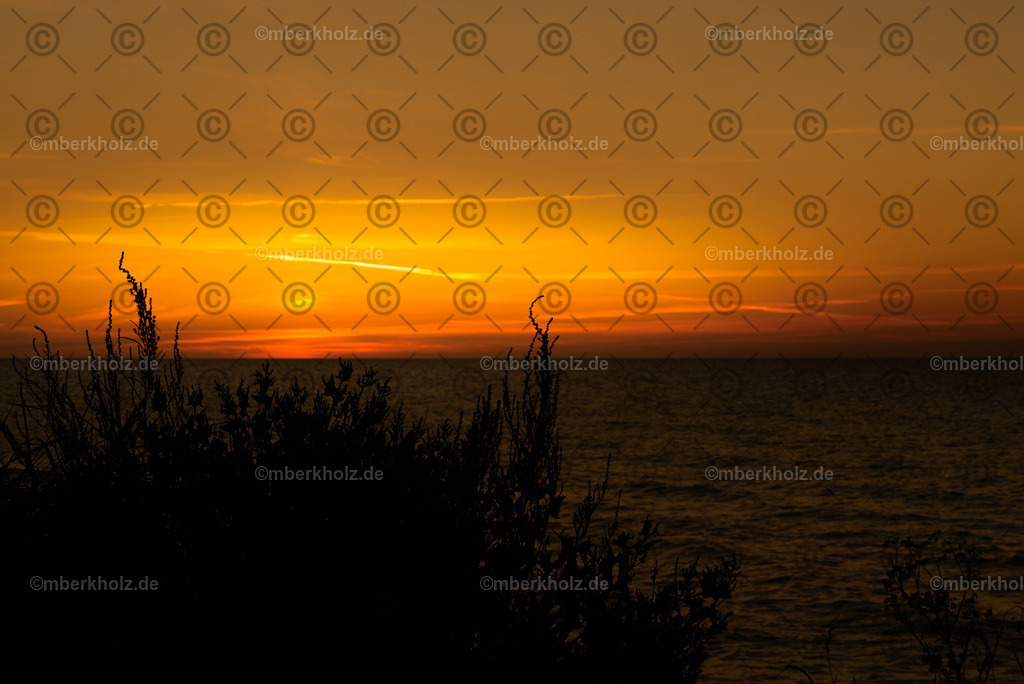 Marko_Berkholz_mberkholz_gespensterwald_MBE7632 | Bildkunst Warnemünde, Fotokunst Warnemünde, Fotostudio Rostock Warnemünde, Technologiecampus, Onlinedruckerei, Fotokunst Warnemünde, Ostseebad Warnemünde 