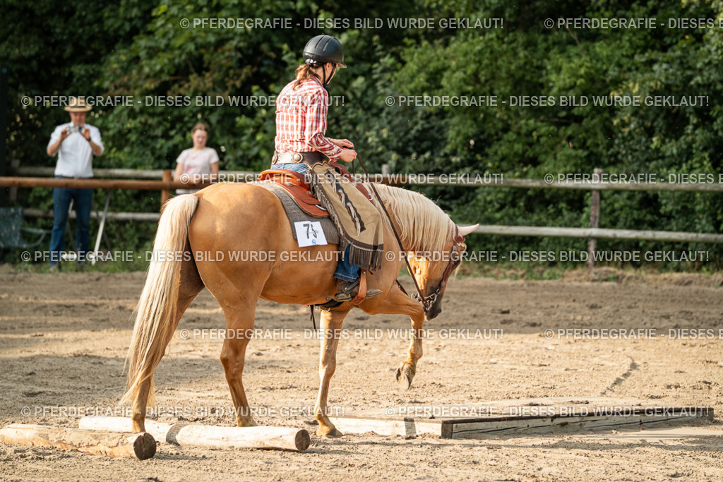 DSC06144 | Pferdegrafie