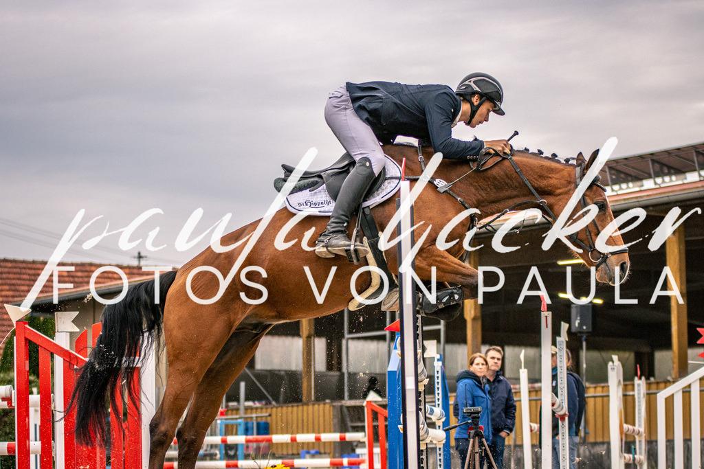 IMG_6245 | Erleben Sie dynamische Sport- und emotionale Tierfotografie in Süddeutschland mit Fotos von Paula. Spezialisiert auf Pferde- und Hundefotografie sowie Sportevents. Kontaktieren Sie mich für einzigartige und ausdrucksstarke Bilder Ihrer besonderen Momente.