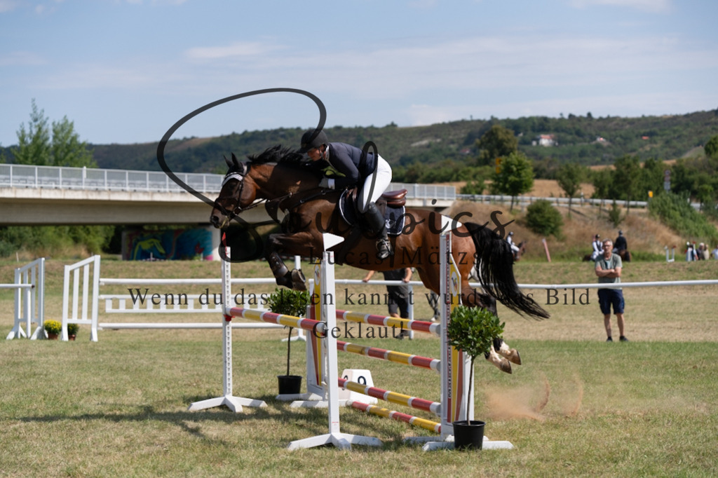 A7V01592 | Pferdefotograf