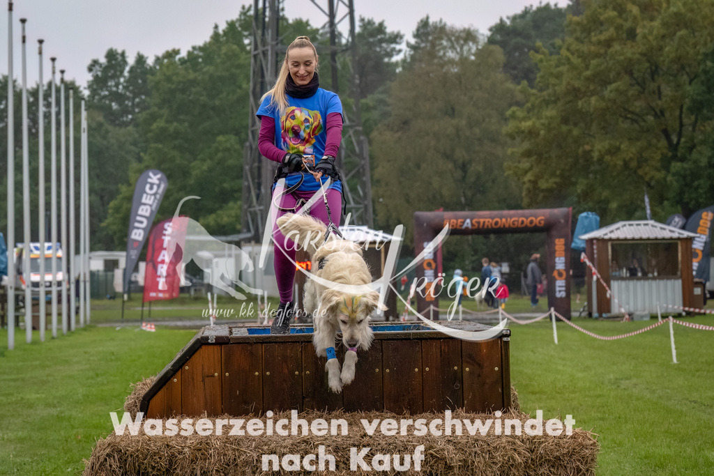 1230--17 | kk-dogfotos