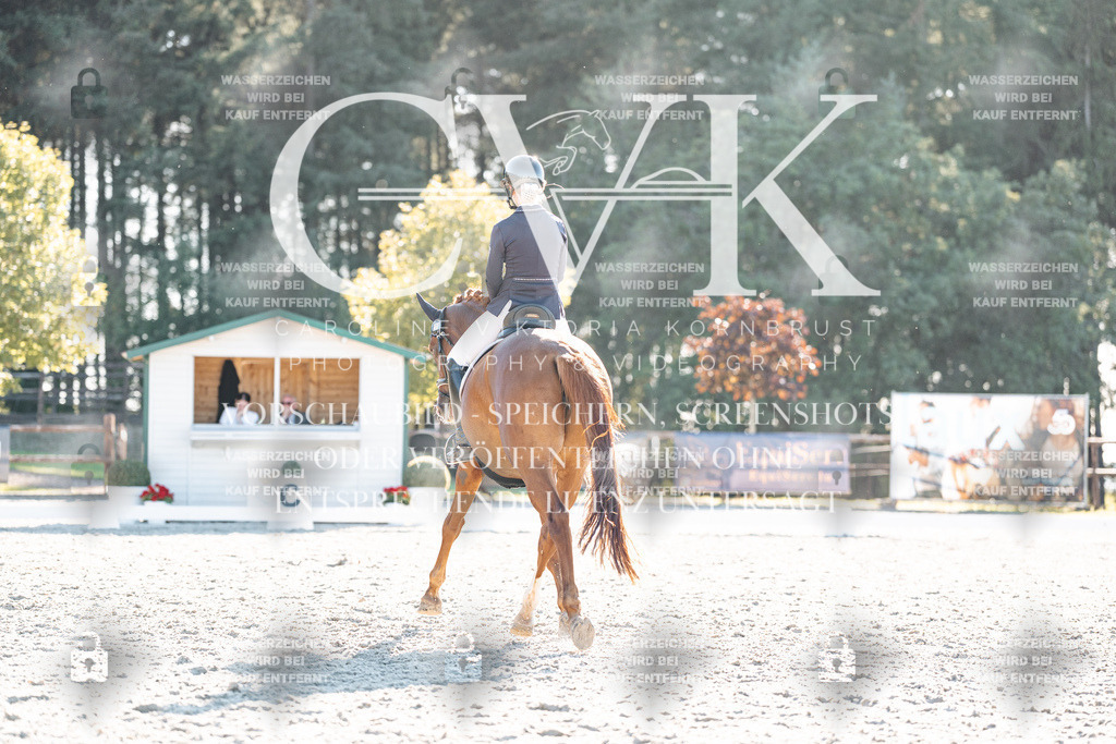 CK906865 | Turnierfotografie Pferdefotografie Trier Rheinland-Pfalz Pferdesport Reitsport Tierfotografie Sportfotografie Pferdevideo Pferdevideografie Equestrianvideography equestrianphotography  - Realisiert mit Pictrs.com