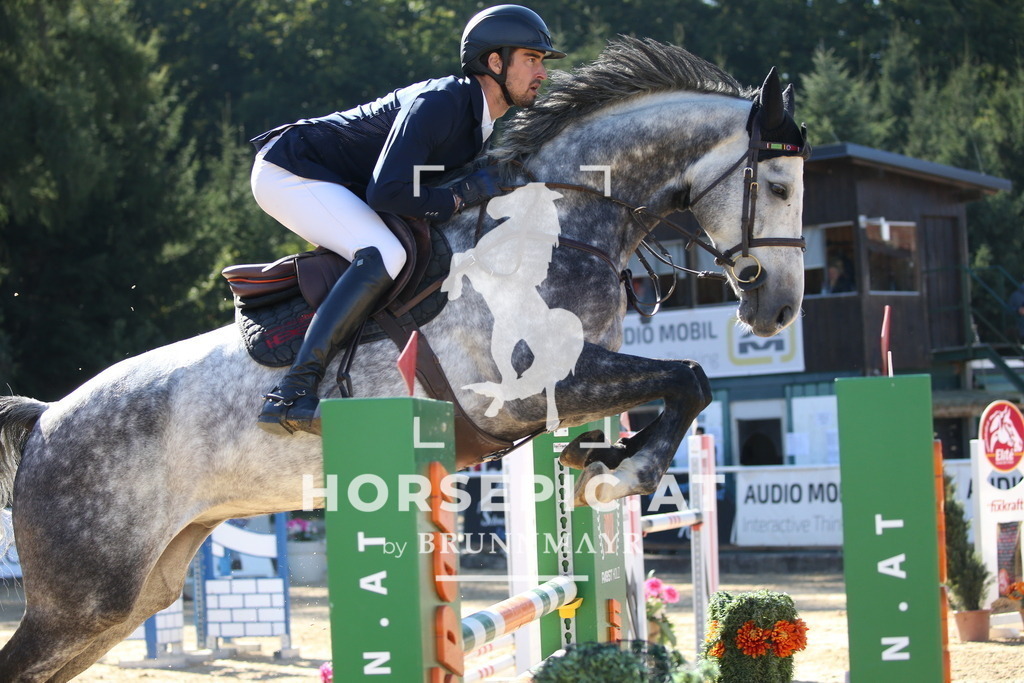 DL2Q3326 | Willkommen bei Brunnmayr - Design & Fotografie – Ihrem Spezialisten für Reitturniere und Pferdeveranstaltungen in Oberösterreich, Salzburg und Bayern! Seit über 17 Jahren sind wir leidenschaftlich dabei.