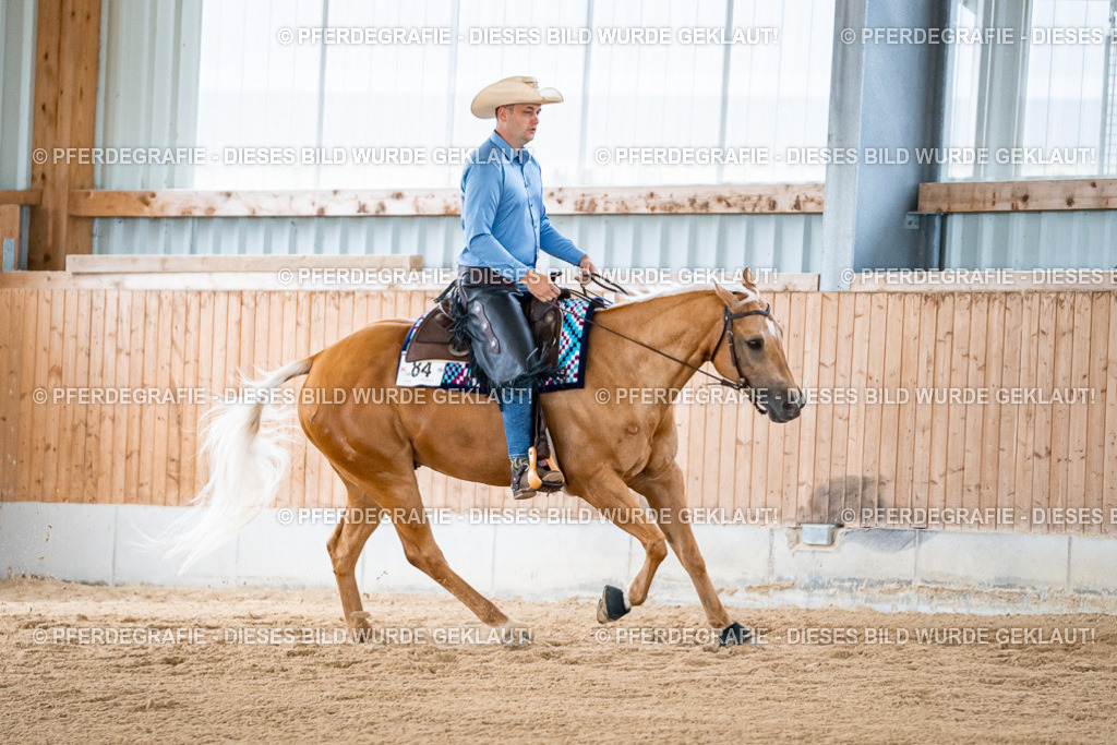 DSC08870 | Pferdegrafie