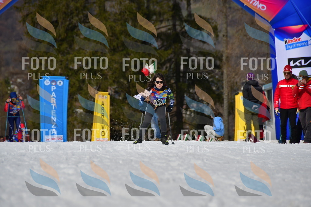 _DSC0870 | holidayphoto