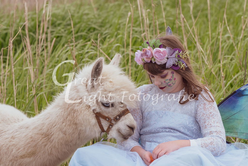 DSC_4192 | Great-Light Fotografie - Realisiert mit Pictrs.com