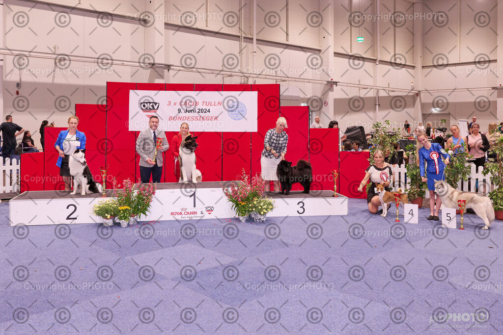 202406_ÖKV-IHA-Tulln24_NZ9_9529 | proPHOTO - Realisiert mit Pictrs.com