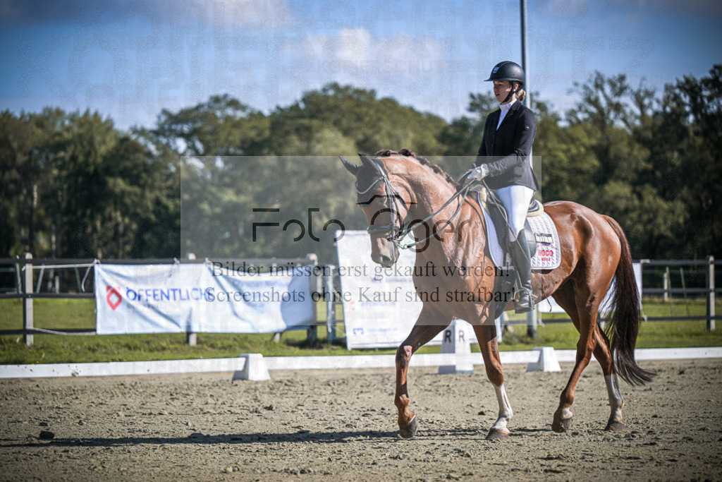 DOS_3166 | Entdecke hochwertige Reitturnierfotos von Foto Oger. Professionell, emotional und authentisch – jetzt Lieblingsmomente im Shop bestellen.Deutschlandweite Turnierfotografie. - Realisiert mit Pictrs.com