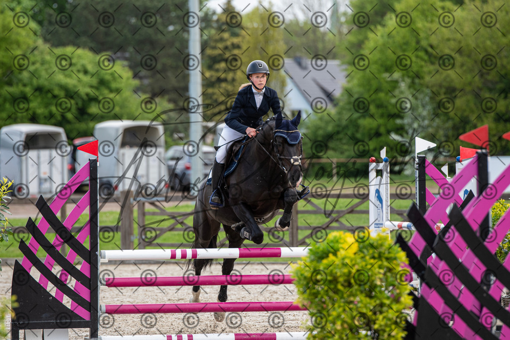 KPT_7708 | andre_photographic