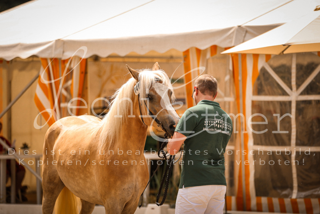 06.So00028 | Leoni Ertmer Photography - Realisiert mit Pictrs.com