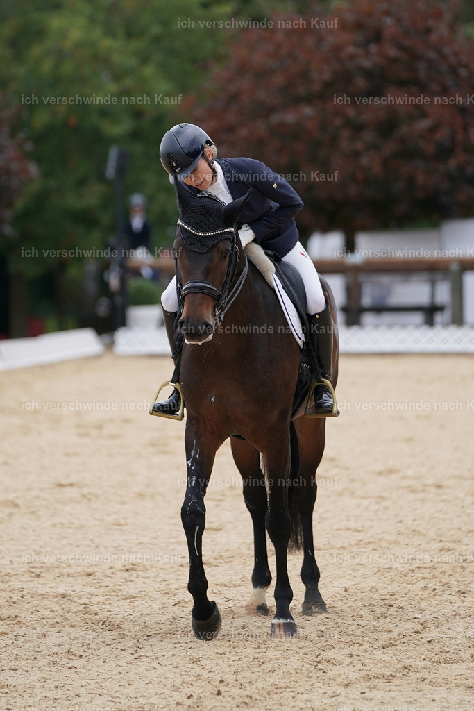 3-241-Dressur M_-Marixx-2200 | working equitationturnier fotograf videograf stoibphotography marixx film working equitation deutschland reitsport turnierfotografie eventfotografie equestrian events