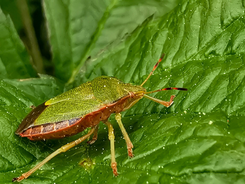 PSX_20240515_212943 | mtkfoto_ - Realisiert mit Pictrs.com