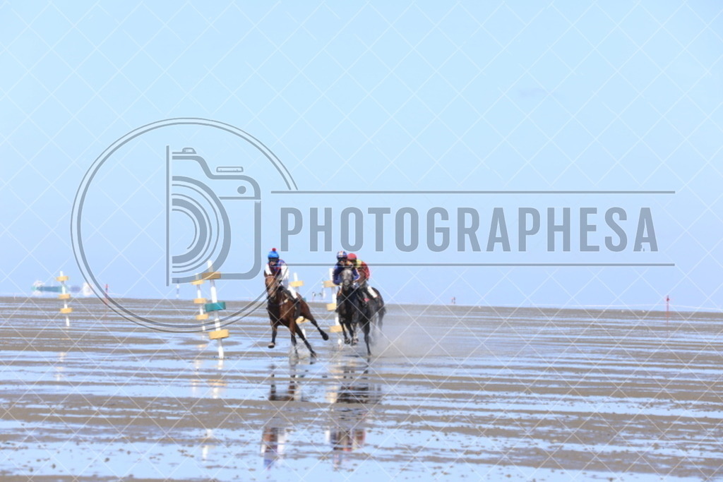 IMG_8867 | photographesa-joergens - Realisiert mit Pictrs.com