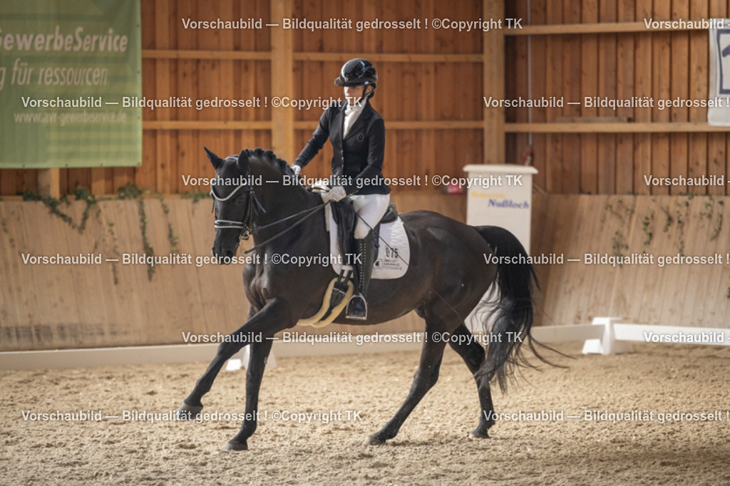 _D5A6086 | Emotionale Pferde- & People-Fotografie rund um Heidelberg, Leimen & Umgebung. Natürliche Fotos von Pferd, Mensch & Familie. Jetzt Termin sichern!