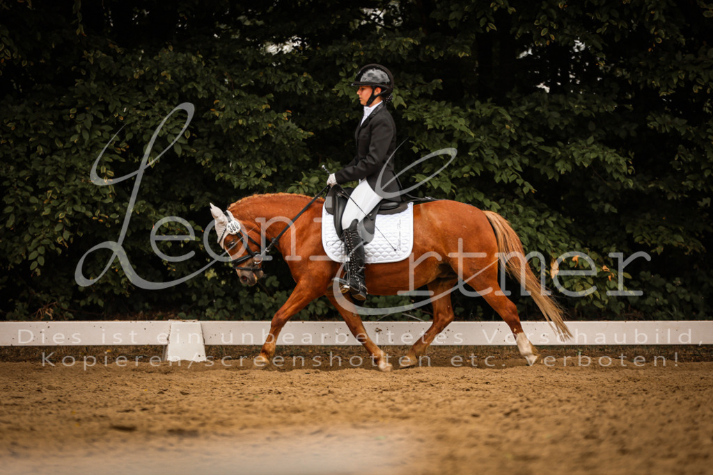 DoDrE00508 | Leoni Ertmer Photography - Realisiert mit Pictrs.com