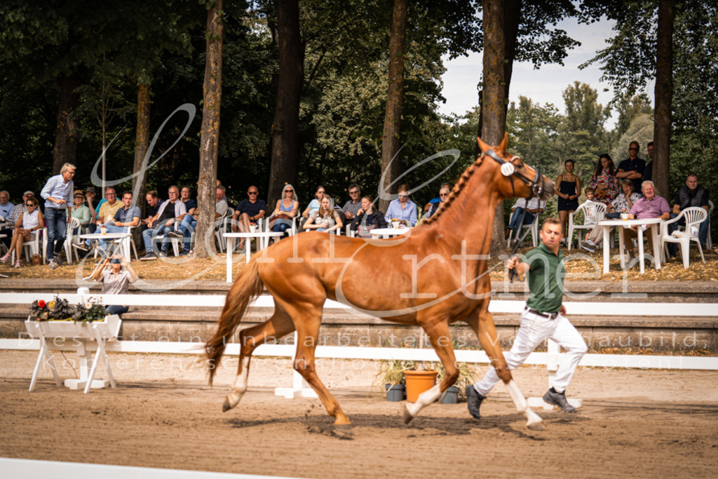 4.Fr00170 | Leoni Ertmer Photography - Realisiert mit Pictrs.com