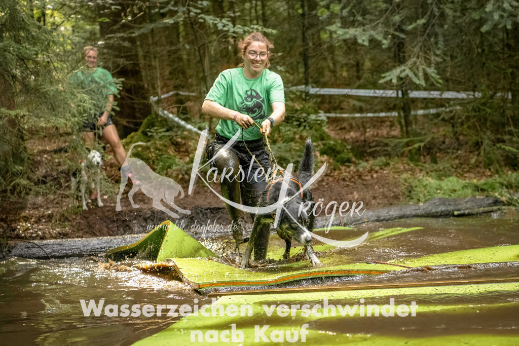 1411_ZZ91350-Bearbeitet | kk-dogfotos