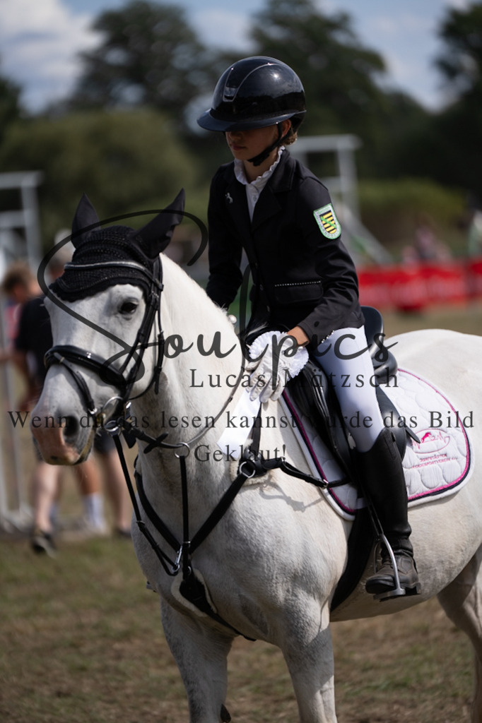 A7V08863 | Pferdefotograf