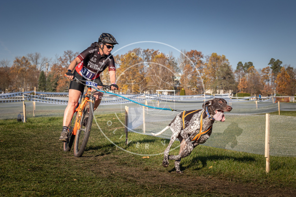 CaniXpix_0L8A5599 | Hundefotografie, Tierfotograf, Pfotenfotografie, Fotoshooting Hund, Hunde Portrait, Hundesport, Hundeportraits, Heideshooting, Hunde, Sportfotograf, Hundefotograf, Turnierhundsport, THS,  - Realisiert mit Pictrs.com