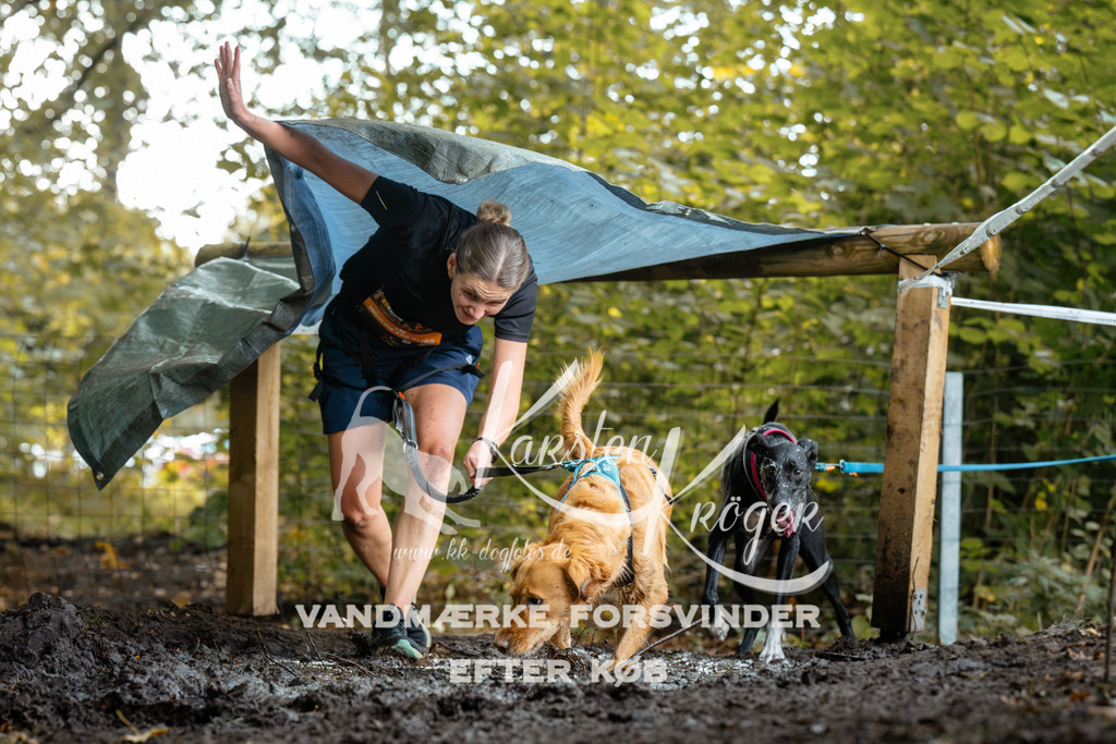 1410DZ6_1145Z6 | kk-dogfotos