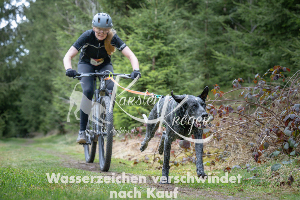 1310_ZZ93860 | kk-dogfotos