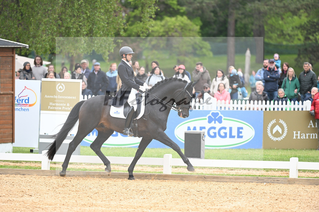 Carvajal_Meggles Boston_11232310 | hf-fotografie - Realisiert mit Pictrs.com