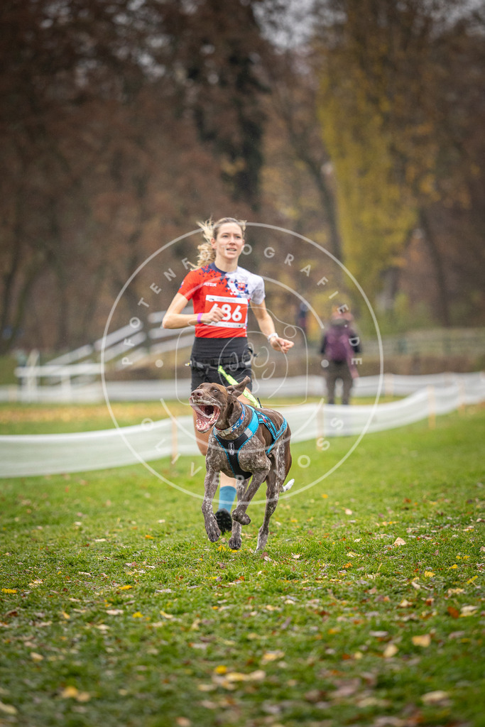 CaniXpix_DV3A8909 | Hundefotografie, Tierfotograf, Pfotenfotografie, Fotoshooting Hund, Hunde Portrait, Hundesport, Hundeportraits, Heideshooting, Hunde, Sportfotograf, Hundefotograf, Turnierhundsport, THS,  - Realisiert mit Pictrs.com