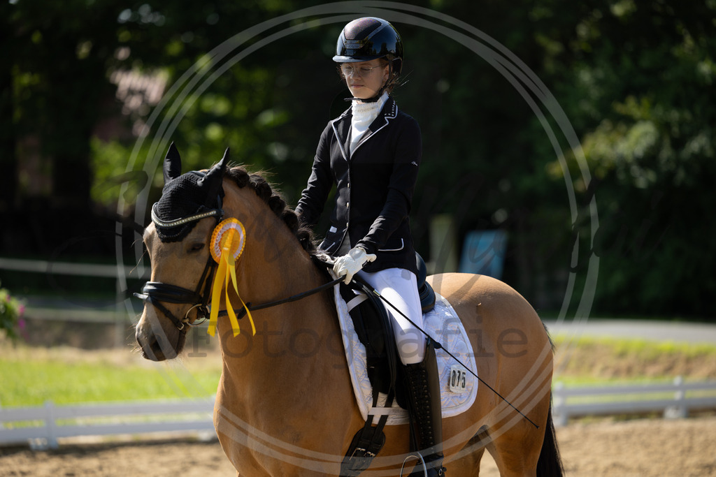 994A3850 | sabrinanicolaifotografie - Realisiert mit Pictrs.com