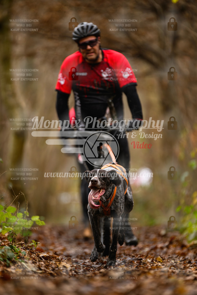 MompixPhotography_Eschau2024_DS1-21 | PayLife