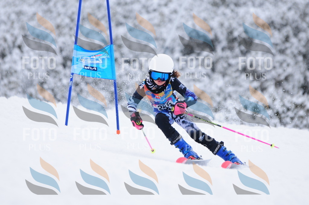 C2683 | holidayphoto