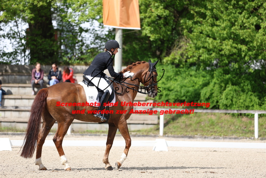 A40A4079 | lmwpictures - Realisiert mit Pictrs.com