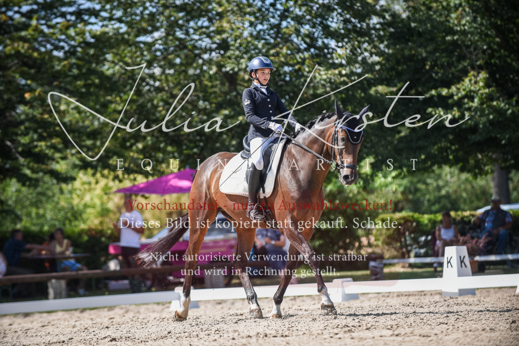 DSC_9426 | Pferde- und Turnierfotografie in Westsachsen. Pferdeportraits, Auftragszeichnungen und intuitive Kunst.