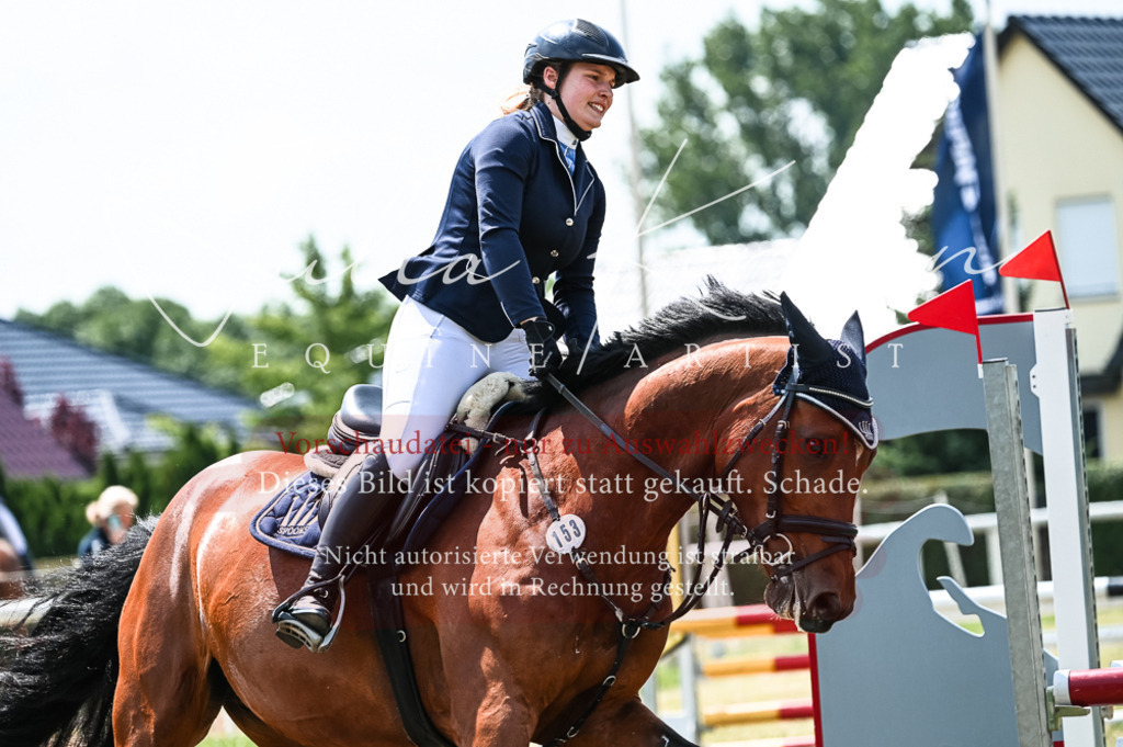 DSC_9347 | Pferde- und Turnierfotografie in Westsachsen. Pferdeportraits, Auftragszeichnungen und intuitive Kunst.