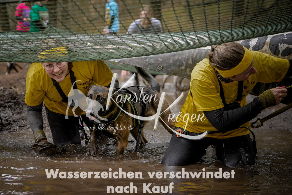 1005_ZZ99331 | kk-dogfotos